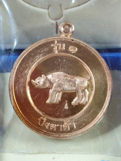J38-M1 เหรียญพญาหมูรุ่น หลวงพ่อสมคิด วัดบึงตาต้า ที่ระลึกสร้างอนุสรณ์สถานพระเจ้าตากสินมหาราช ปี 2564 เนื้อทองแดง เลข2346 กล่องเดิม