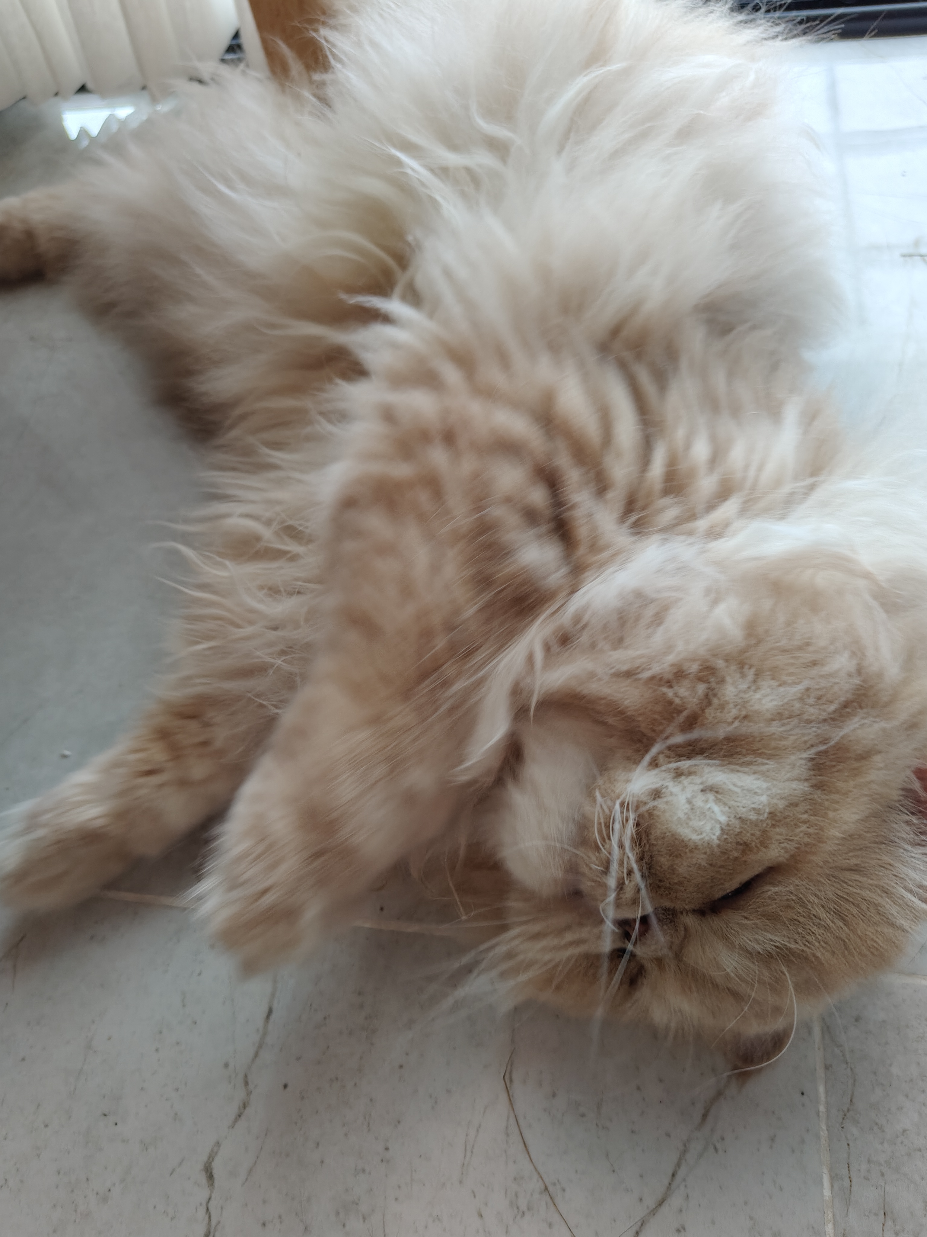 รูปโปรไฟล์ teerasuk