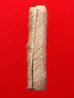 ตะกรุดหนังเสือ