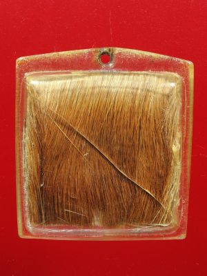 หนังเสือหน้าผากเสือ